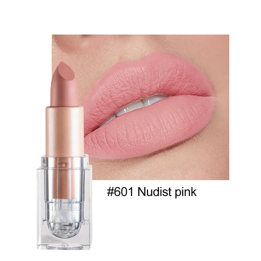 Lipstick Lip Gloss Long Lasting Moisture Cosmetic Lipstick Red Lip Matte Lipstick Waterproof